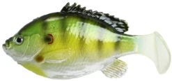 FishLab Bio Gill Weedless Soft Swimbait -Saltwater Fishing Deals Store fishlab bio gill weedless soft swimbait 16985.1651267391