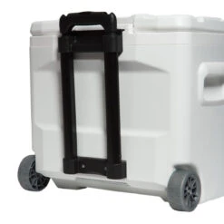 Igloo Marine Ultra Quantum 28 Quart Roller Cooler 8 Igloo Marine Ultra Quantum 28 Quart Roller Cooler -Saltwater Fishing Deals Store igloo 00045929 marine ultra quantum 28 quart roller cooler 83324.1650936287