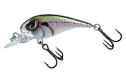 Molix FC45 Finesse Crankbait 9 Molix FC45 Finesse Crankbait -Saltwater Fishing Deals Store molix fc45 finesse crankbait 56572.1678980946