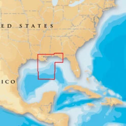 Navionics MSD/651P+ Platinum+ - Gulf Of Mexico Central - MicroSD/SD