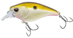 Nomad Design Atlas Crank 70 - Tennessee Shad