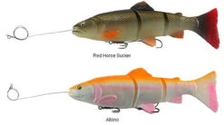 New Products -Saltwater Fishing Deals Store savage gear pre rigged 3d line thru trout lures 89082.1650821678