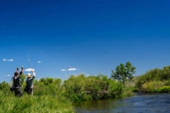 Thomas & Thomas Lotic Series Fly Rods -Saltwater Fishing Deals Store thomas thomas lotic series fly rods 25489.1651330459